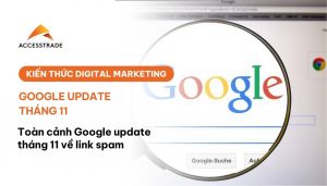 link spam google update tháng 11