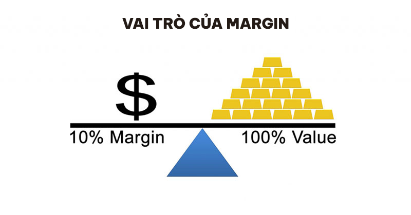 Vai trò của margin/margins