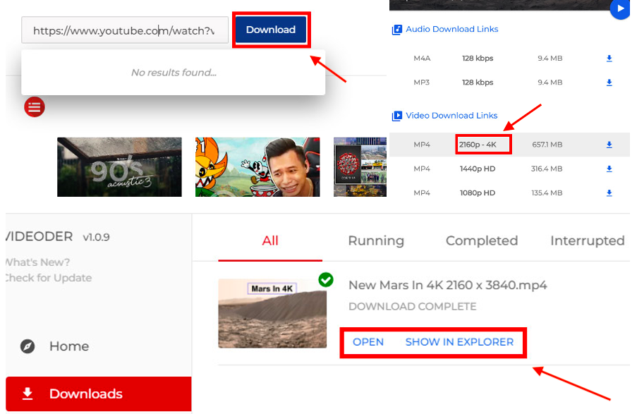 Tải video YouTube 4K bằng Videoer 