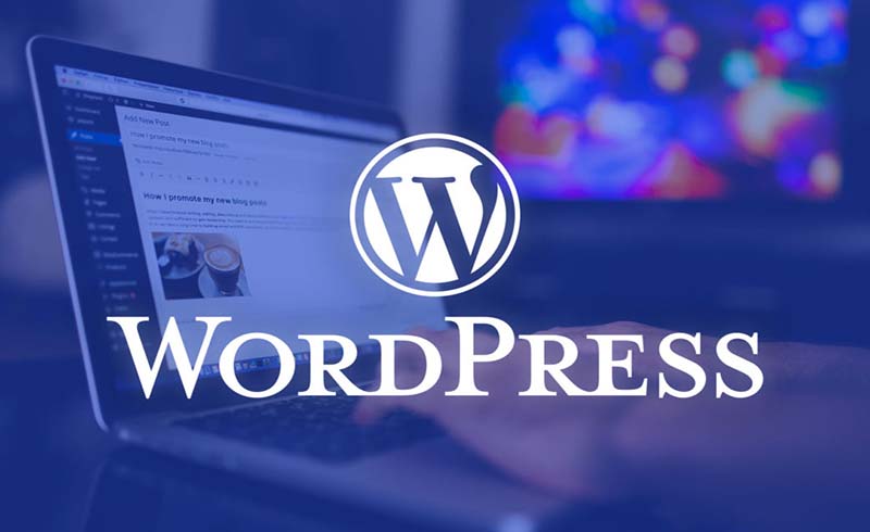 Những điều thú vị về WordPress mà bạn chưa biết