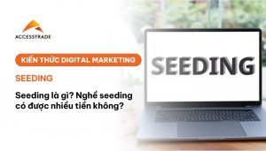 Seeding kiếm được nhiều tiền không