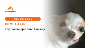 meme là gì