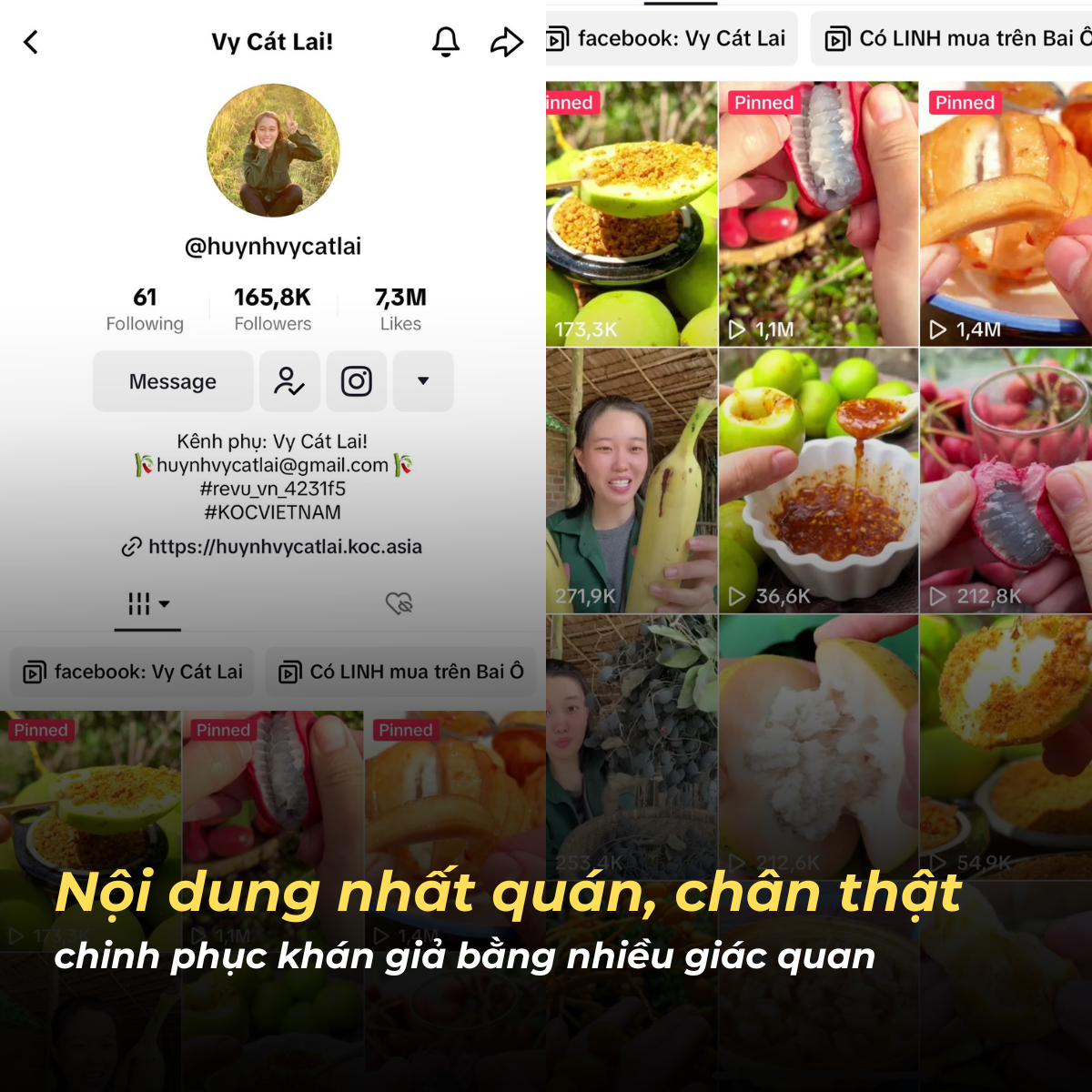 Vy Cát Lai TikTok