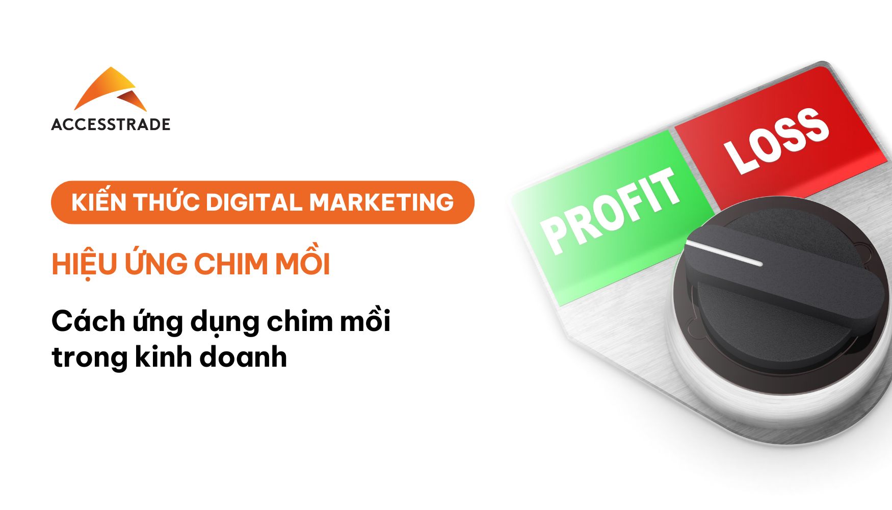 Hiệu ứng chim mồi là gì