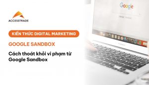 Cách thoát khỏi vi phạm từ Google Sandbox