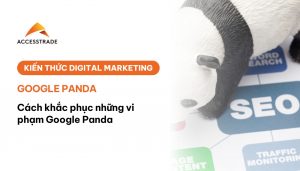 Google panda là gì? Cách khắc phục những vi phạm Google panda