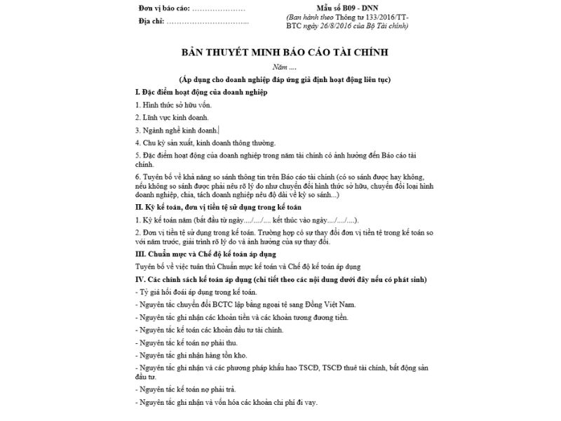 bang-thuyet-minh-bao-cao-tai-chinh