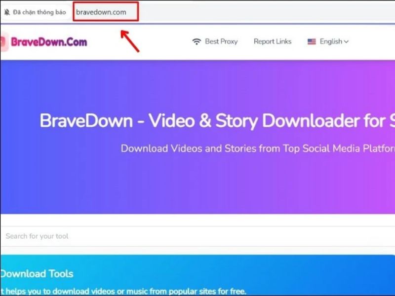 tai-video-livestream-bang-bravedown-1