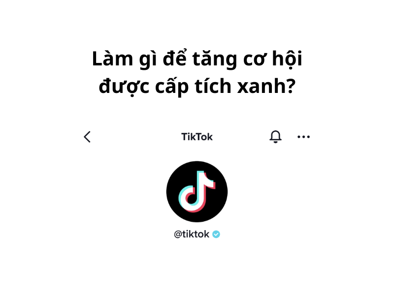 lam-gi-de-tang-co-hoi-duoc-cap-tich-xanh