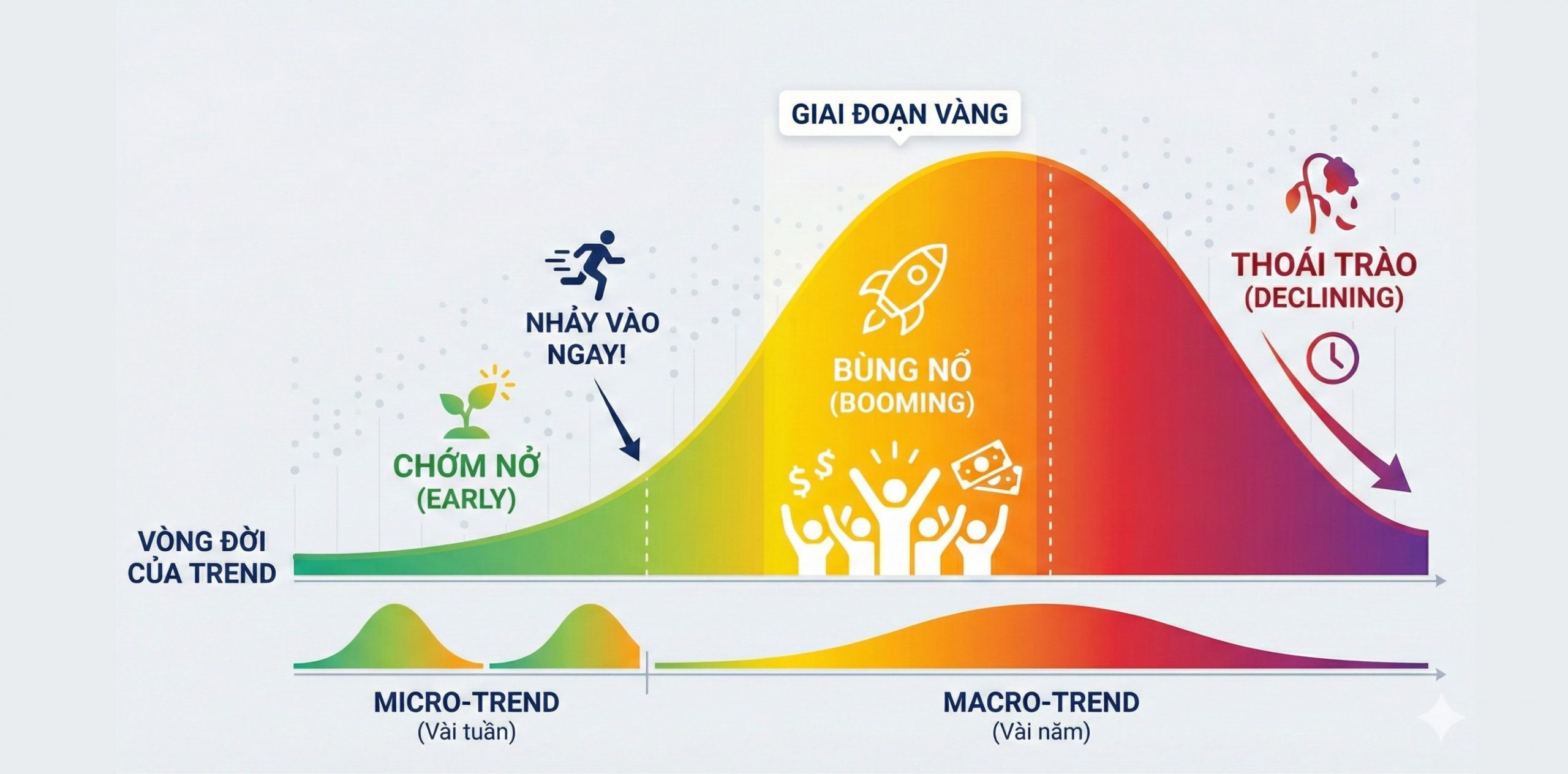 vòng đời sản phẩm hot trend